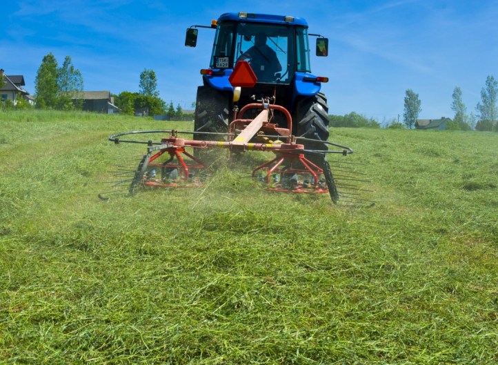 Haytedder